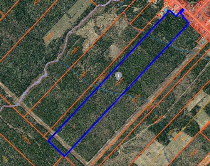 Terre à bois à vendre à Ste-Perpétue de l'Islet | 3183808