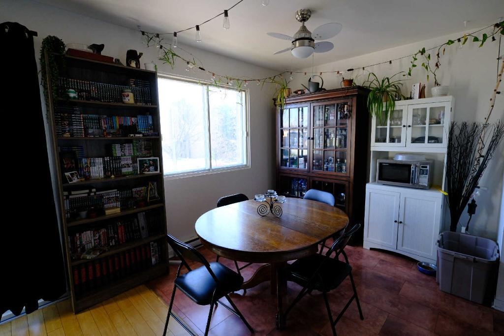 GRAND 4 1/2 ** DÉCEMBRE/JANVIER ** À PIED MÉTRO MONTMORENCY + BEAU SECTEUR + ENDROIT PAISIBLE + LAISSEZ-MOI VOTRE NOM ET TÉLÉPHONE | 3184033