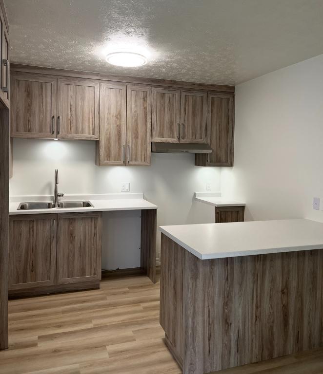 Beau grand 5 1/2 entièrement rénové | 3184038