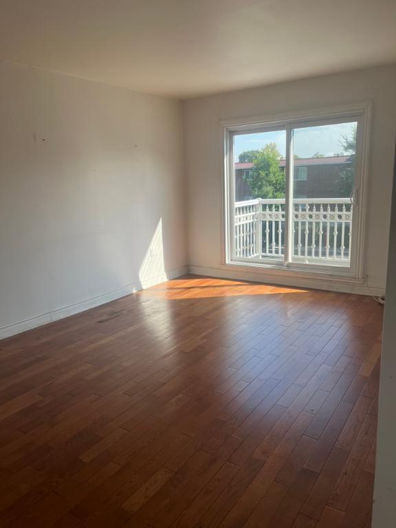 4 1/2 NOUVEAU ROSEMONT- LIBRE IMMÉDIAT | 3184039