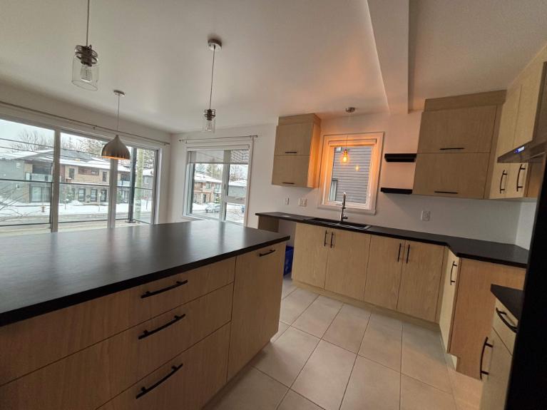 Appartement 4 1/2 lumineux et moderne | 3184513