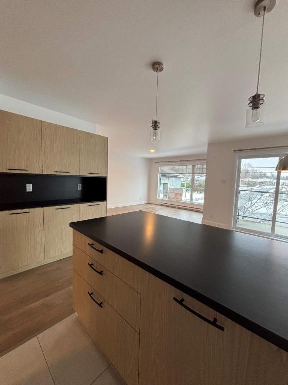 Appartement 4 1/2 lumineux et moderne | 3184513