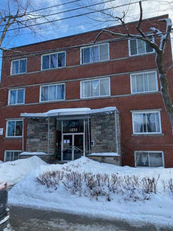 Newly Renovated Three Bedroom Apartment for Rent! | 3184525