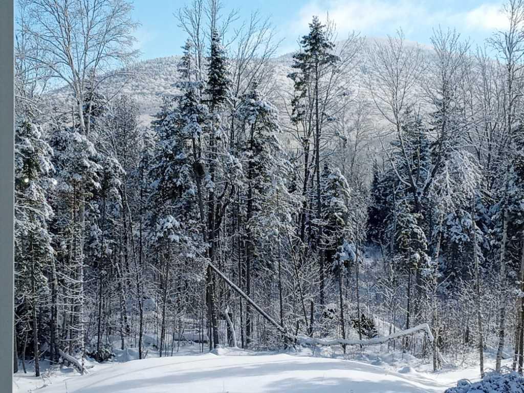 Terrains à vendre à Sainte-Cécile-de-Whitton 1,4 acres ,1,75 acres, 2,18 acres | 3184569