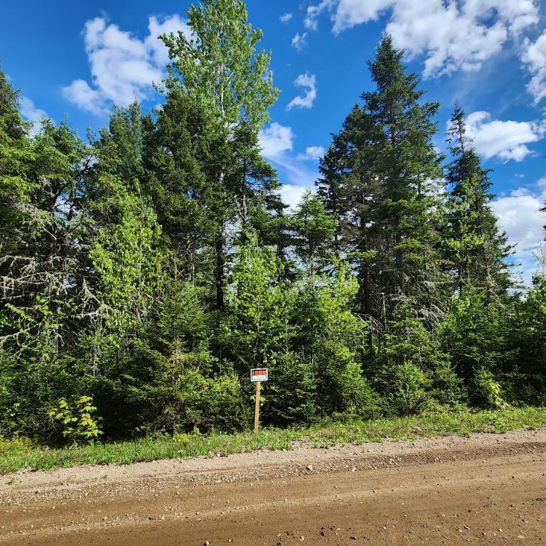 Terrain à vendre. rue Lafrenière, St-Élie-de-Caxton | 3184578