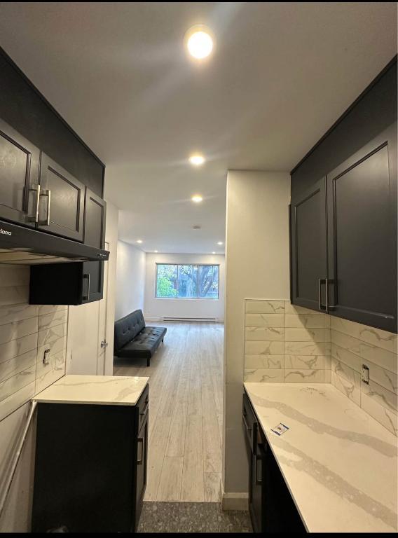 Grand Studio rosemont à louer | 3184887