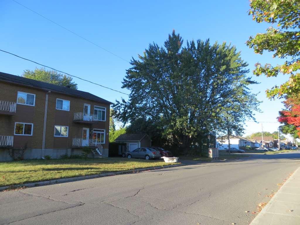 Logement à louer 6 1/2 sur 2 étages (Sous-sol et RDC). Propre et tranquille, on vient de le peinturer au complet en blanc, près de tout les services. | 3184947