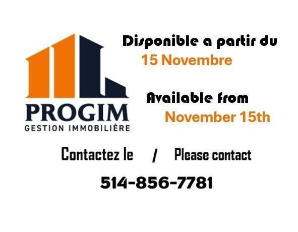 3 CH - 1 SDB - Montréal - $2,250 /mo | 3185023