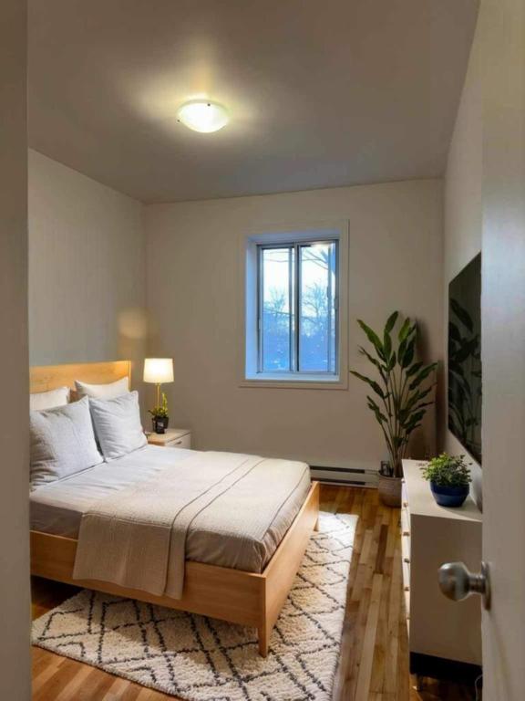 2 CH - 1 SDB - Montréal - $1,335 /mo | 3185312