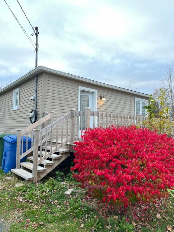 Maison a loué-grand terrain et vue imprenable sur la nature | 3186068