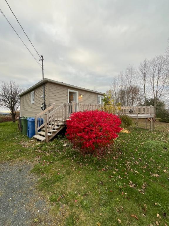 Maison a loué-grand terrain et vue imprenable sur la nature | 3186068