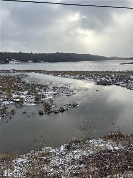 Trancequillité at Petit Lake Bitobi | 3186091