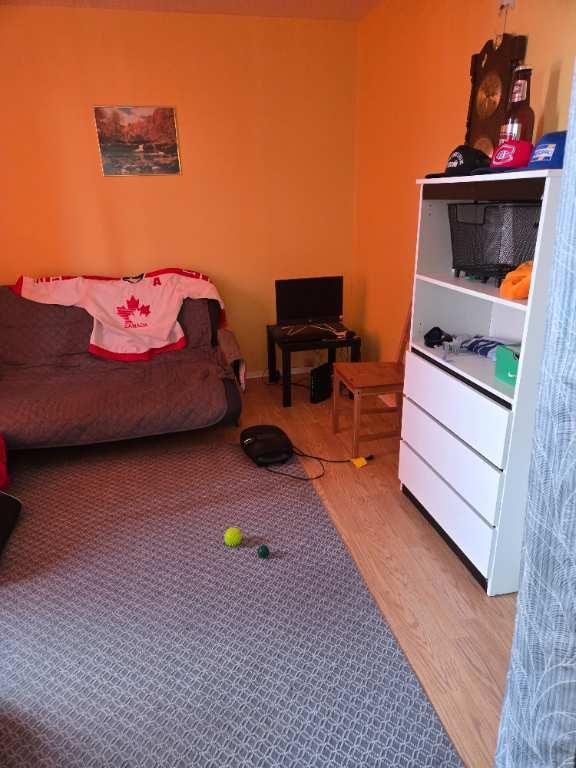 Grand 31/2 à louer | 3186491