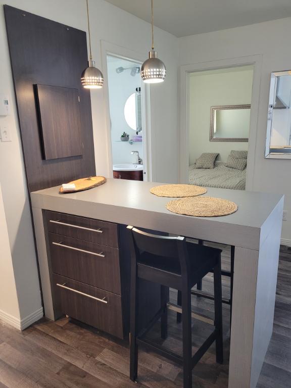 3,5 Beau frais peinturé et meublé de A a Z terrasse sur le toit | 3186495