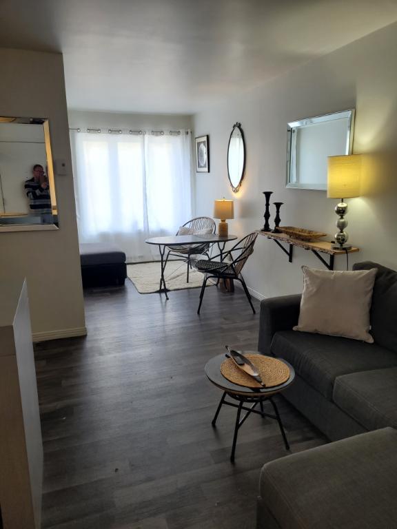 3,5 Beau frais peinturé et meublé de A a Z terrasse sur le toit | 3186495