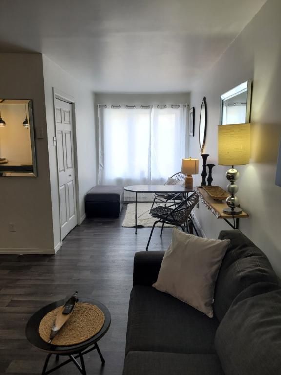 3,5 Beau frais peinturé et meublé de A a Z terrasse sur le toit | 3186495