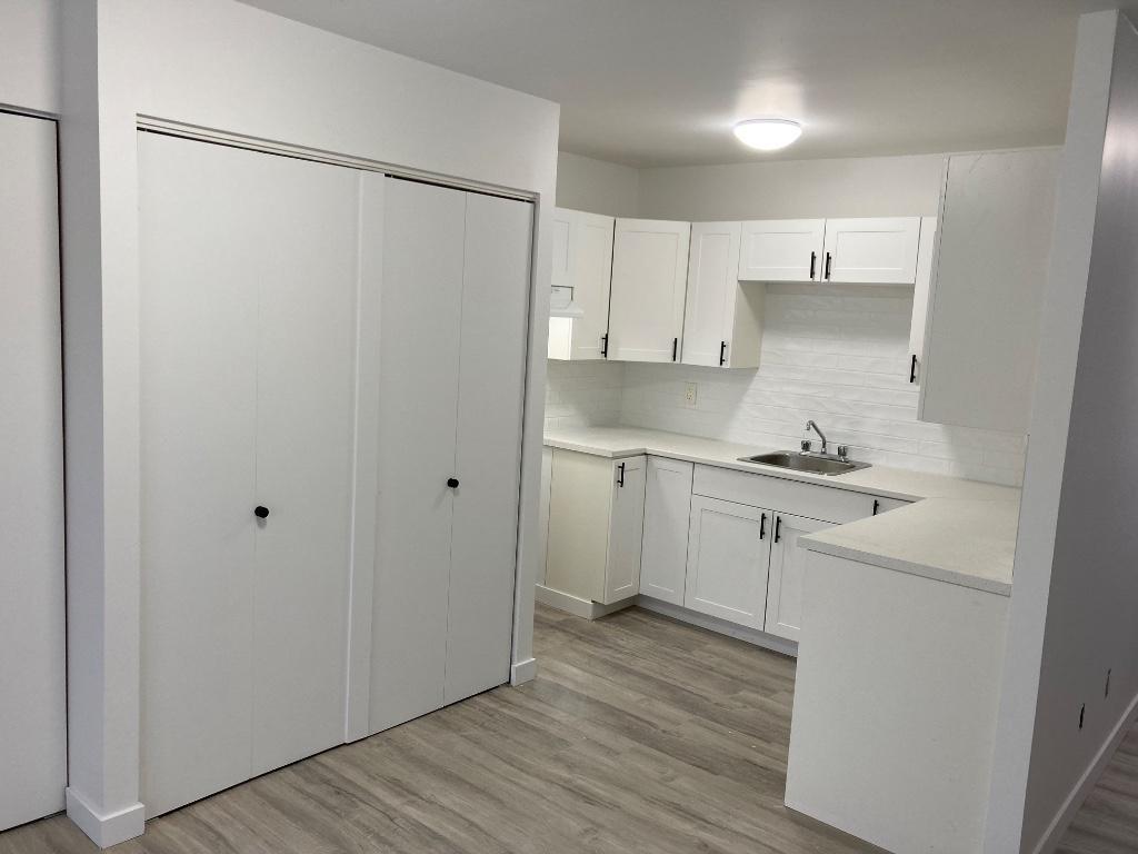LONGUEUIL , 4 1/2 SECTEUR COLLECTIVITE NOUVELLE TOUT RENOVÉ | 3186790