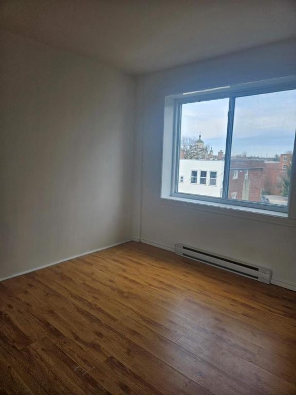 1 CH - 1 SDB - Montréal - $1,245 /mo | 3186792