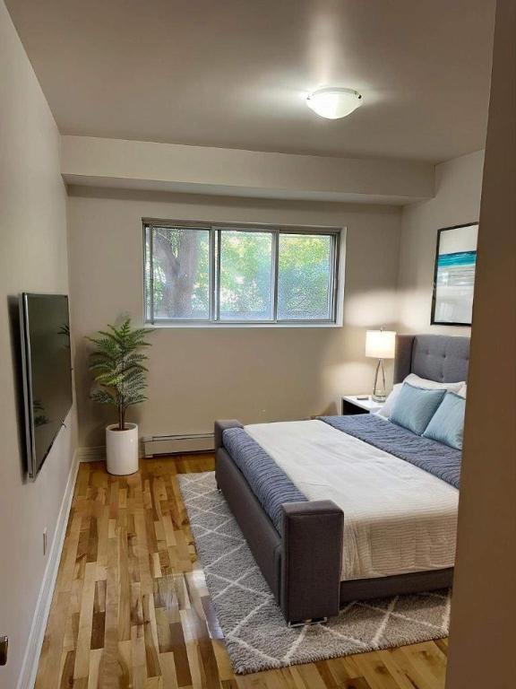 1 CH - 1 SDB - Montréal - $1,000 /mo | 3186935