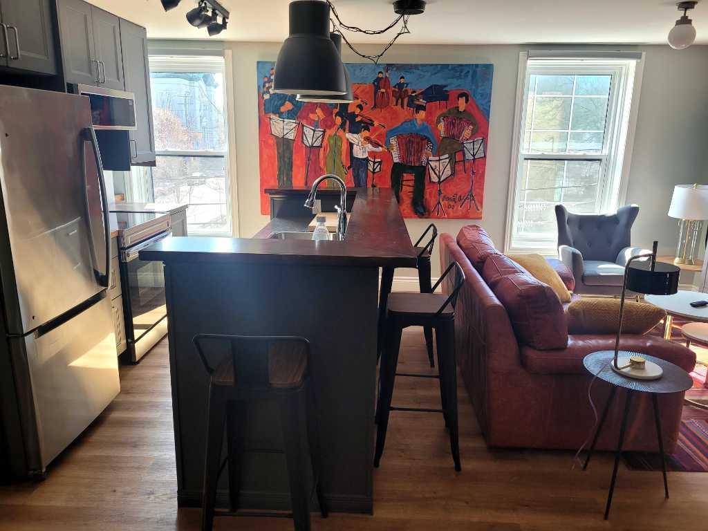 superbe Condo-loft 3 1/2 meublé et entièrement rénové à 5 minutes du métro joliette avec wifi, électtricité et chauffage inclus | 3187243