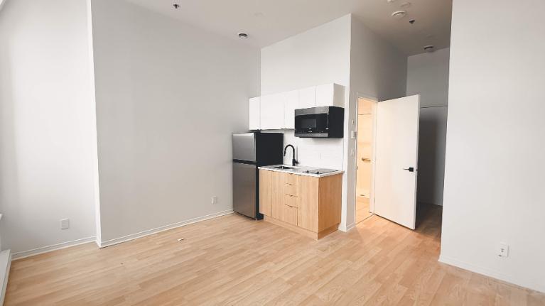 1 CH - 1 SDB - Montréal - $1,245 /mo | 3187249