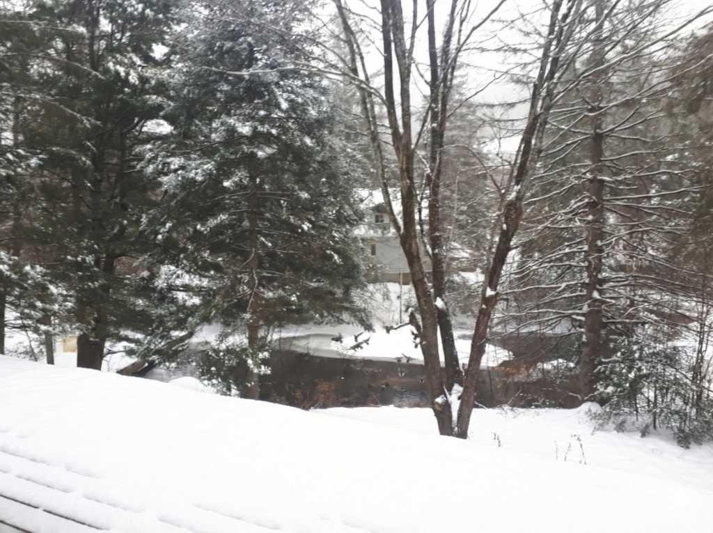 5 1/2 foyer (wifi inclus) terrain bordé d'un étang | 3187284