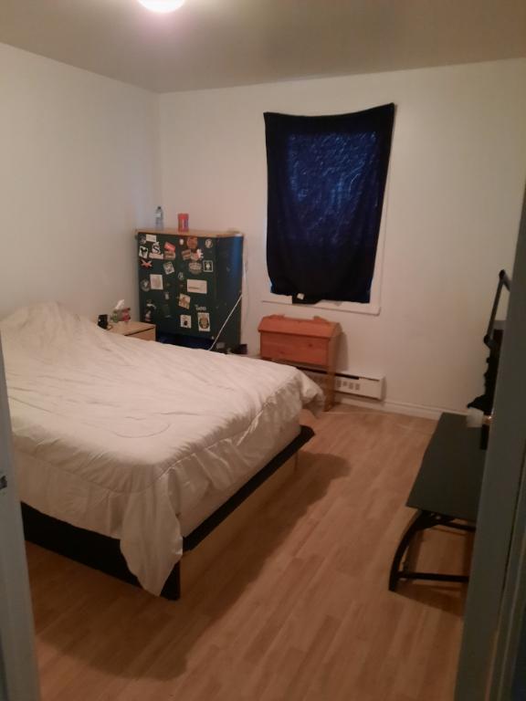 3 ET DEMI LIBRE À PARTIR DU 1ER MAI 2026 | 3187618