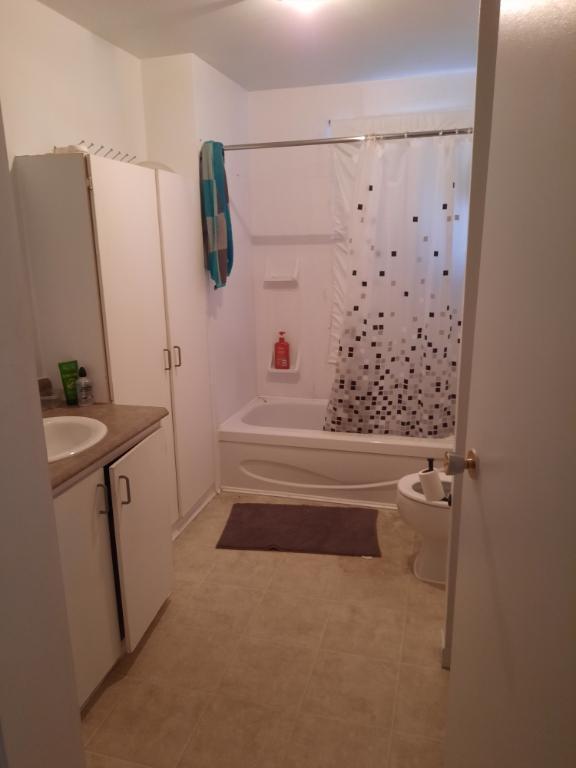 3 ET DEMI LIBRE À PARTIR DU 1ER MAI 2026 | 3187618