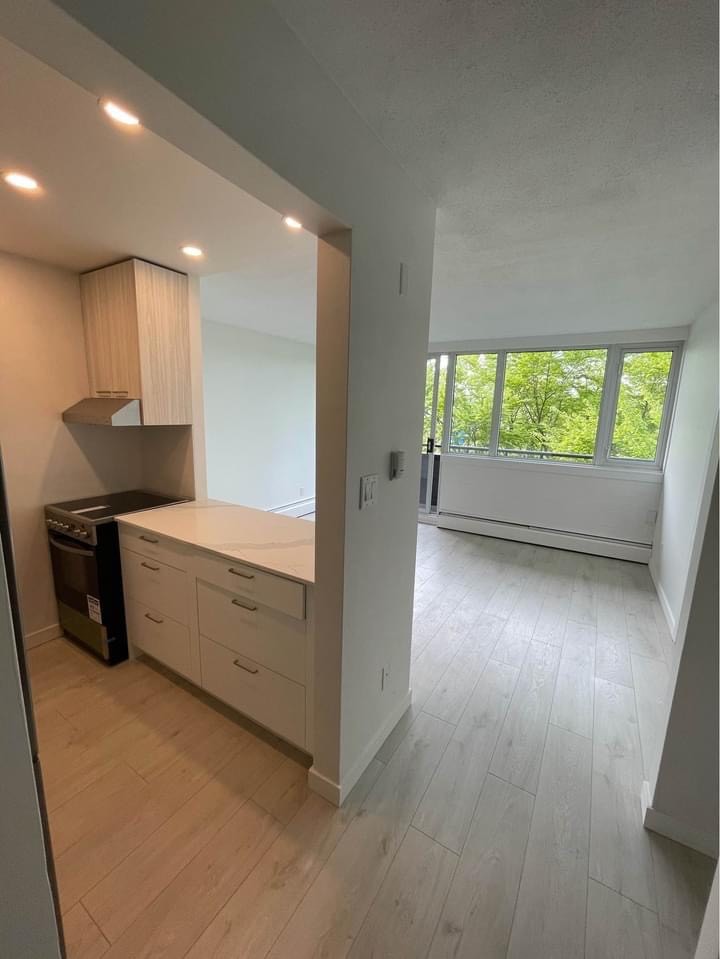 Camelia Court | 3187651