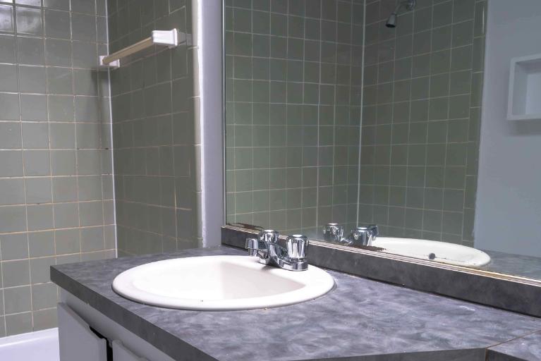 1 CH - 1 SDB - Montréal - $1,445 /mo | 3187669