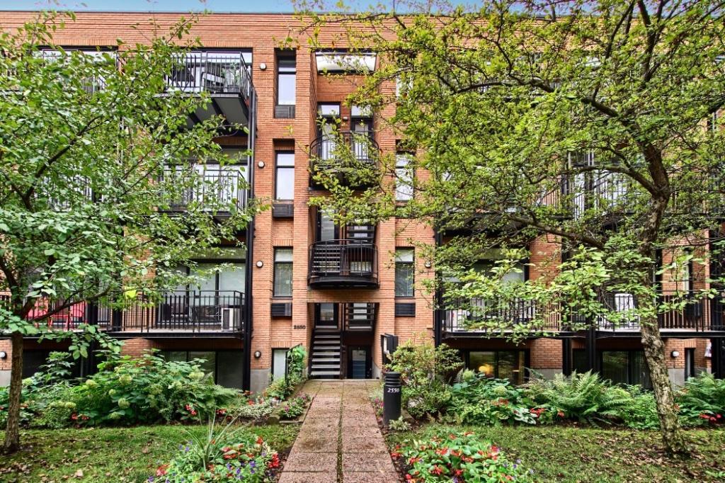 Reprise de bail - Loft meublé - Hochelaga | 3187674