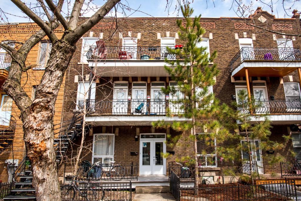 Très grand 4 et 1/2 au Plateau Mont Royal | 3187722