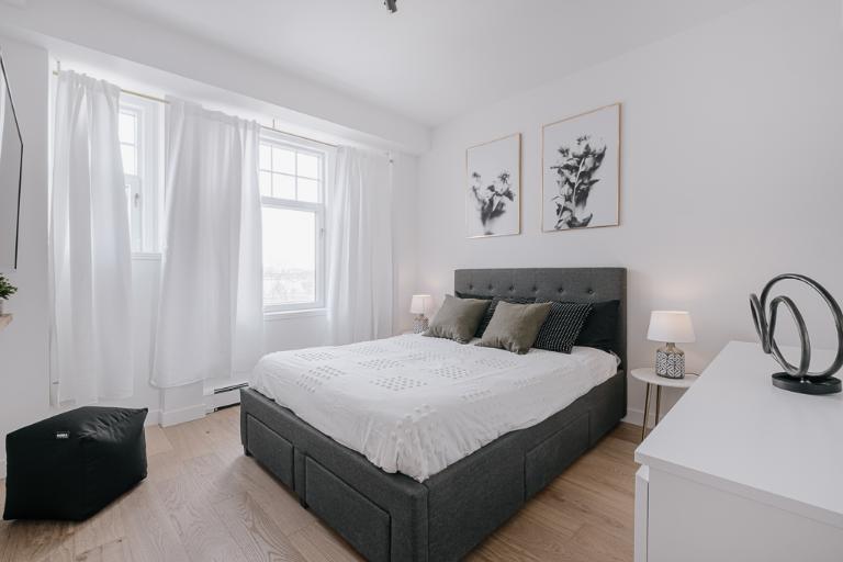 Appartement 3 ½ à louer Montcalm / Saint-Sacrement juillet 2026 | 3198844