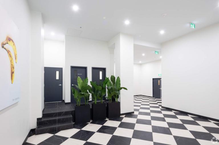 Studio - Montréal - $1,595 /mo | 3188097