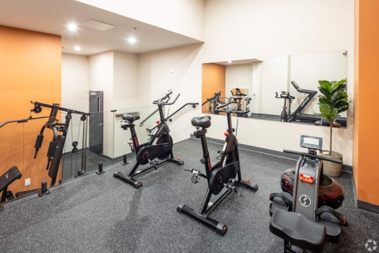 Studio - Montréal - $1,710 /mo | 3188106