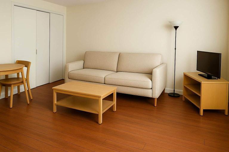 1 CH - 1 SDB - Gatineau - $1,245 /mo | 3188387