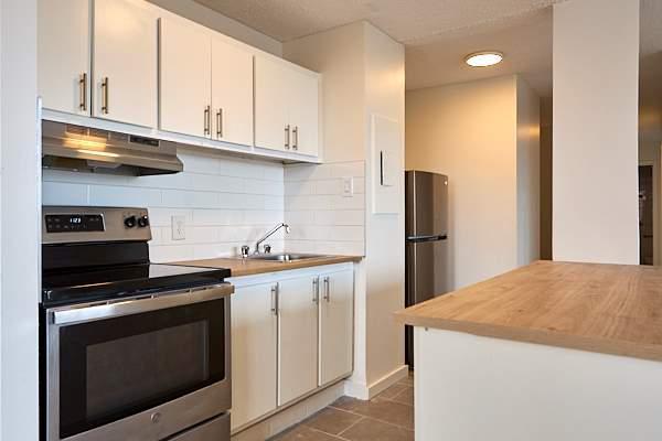 1 CH - 1 SDB - Longueuil - $1,590 /mo | 3188446