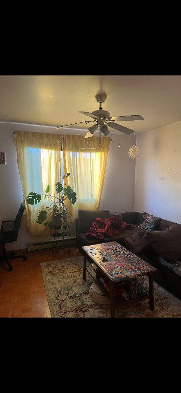 Un beau unique style de 5 1/2 presqu'a 1200pc, plein cœur sur de la promenade Masson avec une grande terrasse privée à l'arrière incluant un cabanon. | 3188454