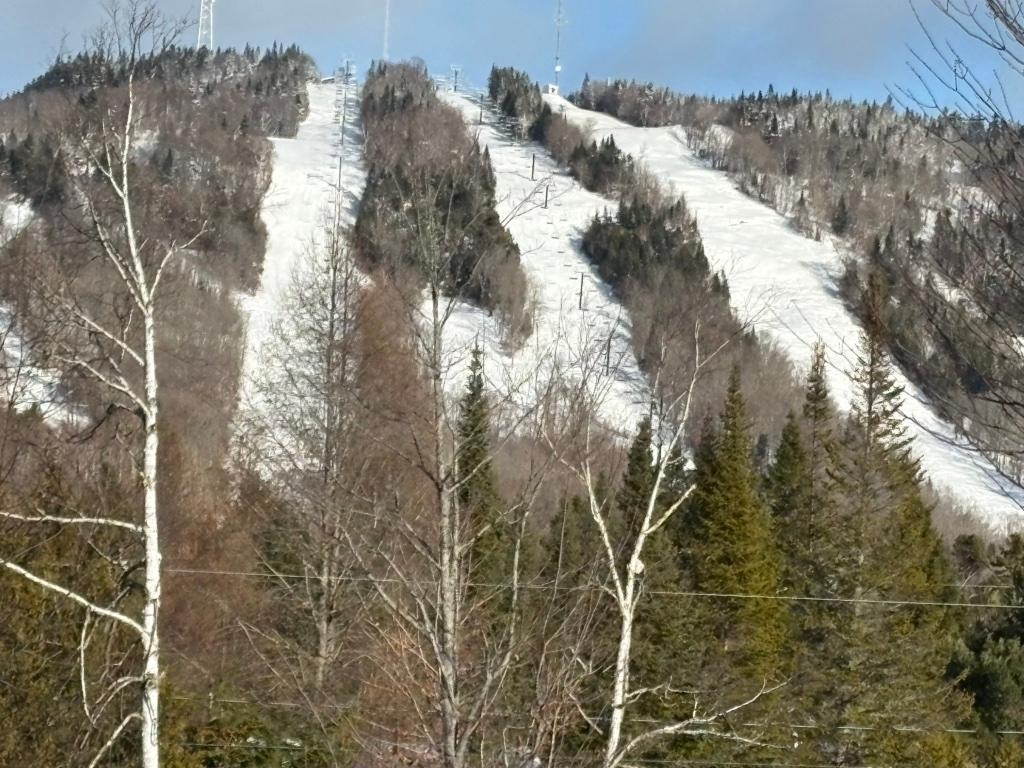 Terrain 45 000 pi ca Lac Archambault(accès) | 3190348