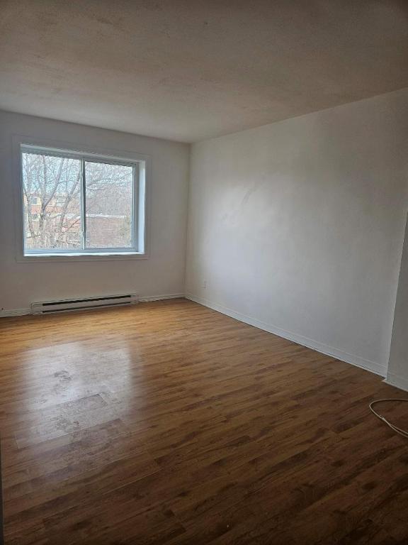 1 CH - 1 SDB - Montréal - $1,245 /mo | 3188840