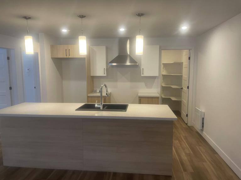 3 CH - 2 SDB - Waterloo - $1,550 /mo | 3189246