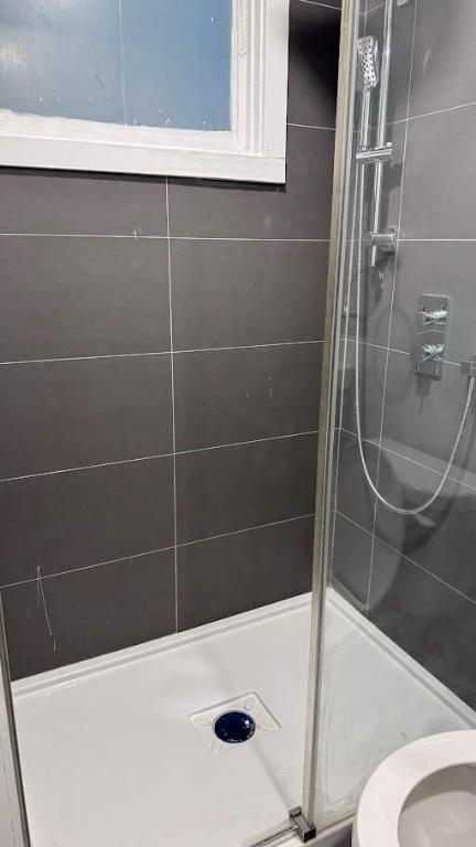 Studio - Montréal - $1,245 /mo | 3189799