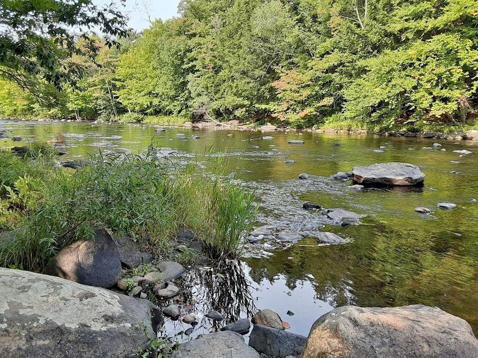 Apppartement à louer 5 1/2 Bromont | 3189899