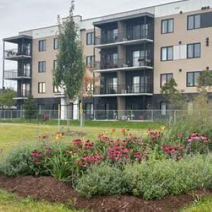 4 1/2 - Lévis - 1 375 $/mois | 3190246