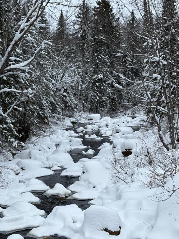 Terrain sur ruisseau St-Donat | 3190349