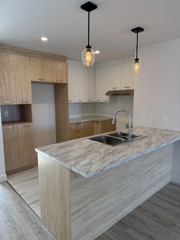 Grand 5 1/2 avec petit cours priver | 3190584