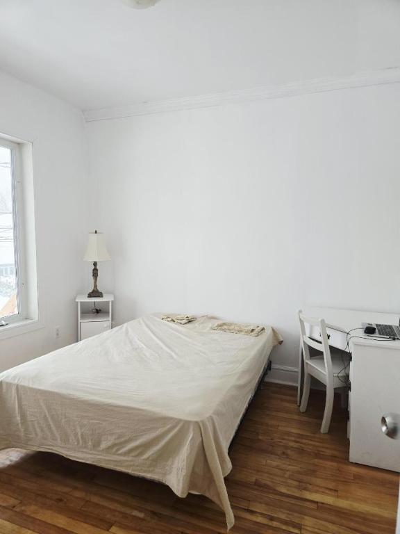 5 1/2 - Trois-Rivières - 600 $/mois | 3191257