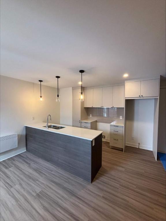 3 CH - 1 SDB - Saint-Hyacinthe - $1,700 /mo | 3191321