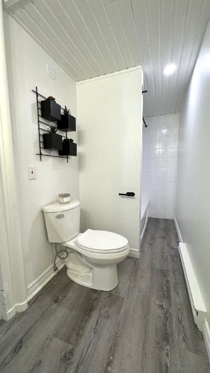 MAJESTUEUX 3 1/2 semi meublé dans un immeuble ancestral (LOGEMENT UNIQUE) | 3191843