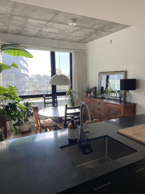 4 1/2 - Montréal (Griffintown) - 2 930 $/mois | 3192169